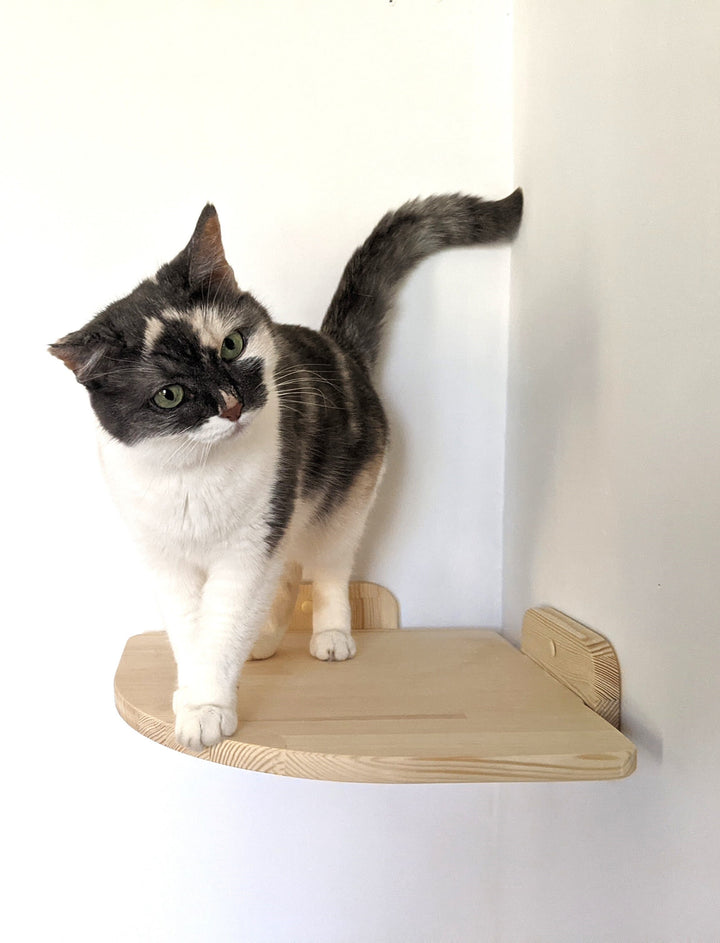 Corner Cat Shelf Bed from Pine Wood with Steps, Wall mounting corner cat tree, Wall mounted cat bed, Cat Shelves, Wall Cat Bed with pillow