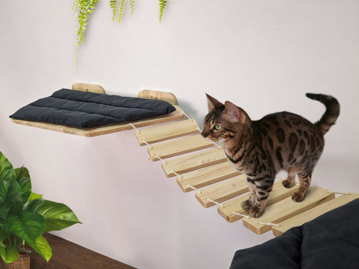 Corner Bridge-Shelf for Big Cats, Perfect for Playing and Sleeping on it, Handmade Cat Wall Shelf, Indoors and Outdoors, all types of walls!