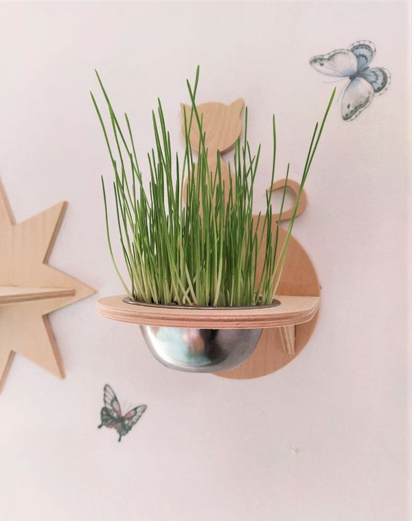 Cat grass planter, Cat planter, Cat feeding shelf, Cat wall feeder, Cat bowls, Cat food bowl, Cat bowl wall, Cat feeder, Cat bowl stand