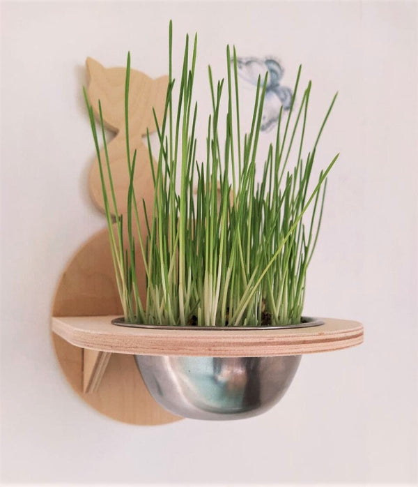 Cat Feeder Shelf with Grass, Dog proof cat feeder, Cat wall feeder, Wall cat feeder, Cat bowls, Cat food bowl, Cat bowl, Elevated cat bowl