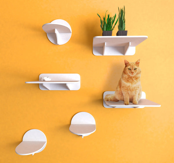 Cat Wall Shelves Set in White color with 3 Steps (size M) and 3 Shelves for playing and napping! Perfect for Indoor and Outdoor use