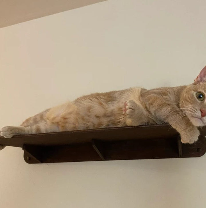 Wood long floating shelves for BIG cats, Perfect wall shelf for Maine Coon, Savannah, Norwegian Forest Cat,  Ragdoll, Highlander, Shorthair