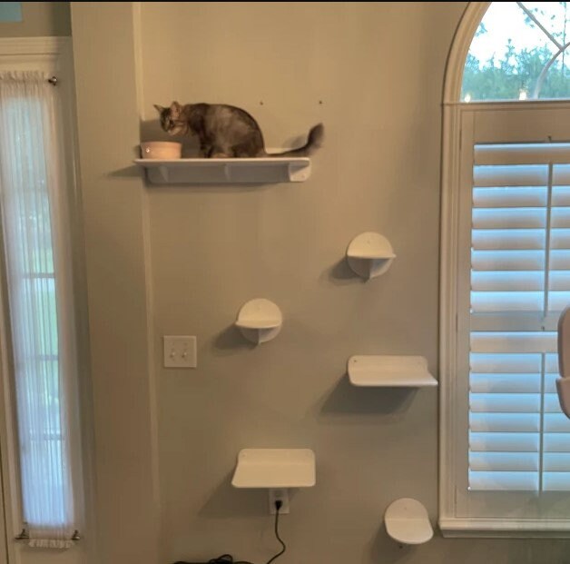 Cat Wall Shelves Set with 3 L Steps, 3 XL Shelves and 1 XXL for playing and napping! Cool Set for Cats for Indoor and Outdoor use