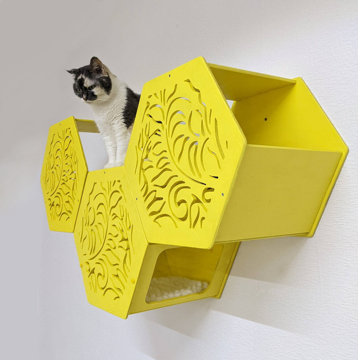 Hexagons for Cats New Designs, Wall mounted cat bed, Cat condo, Cat wall steps, Cat shelves and perches for Wall, Cat climbing wall