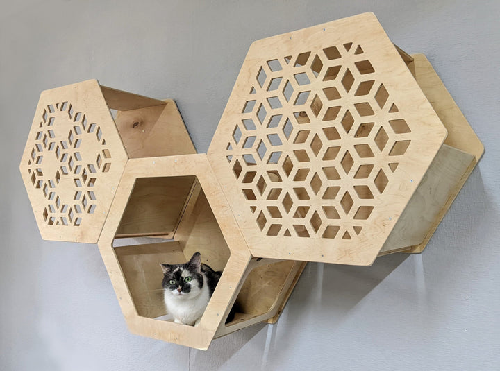 Huge Hexagons for Big cats, Cat tree, Cat shelves, Cat furniture, Pet furniture, Cat shelf, Cat wall shelves, Wall mounted cat bed, breeds