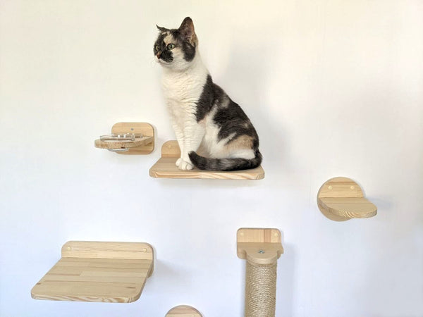 SET of 6 Cat Shelves unclude Feeder 2 bowls, 2 XL Shelves with pillows, Scratching post (sisal or cotton), 2 M Steps, Cat wall furniture set