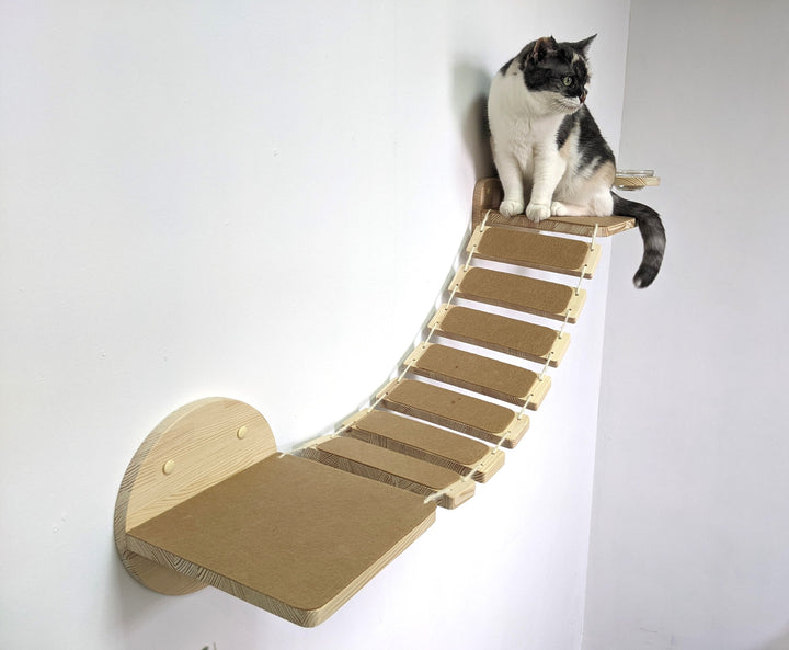 Cat Feeding Station: Raised Cat Glass Bowls with Bridge, Perfect Raised Cat Feeder protecting food and cat from dogs and other animals