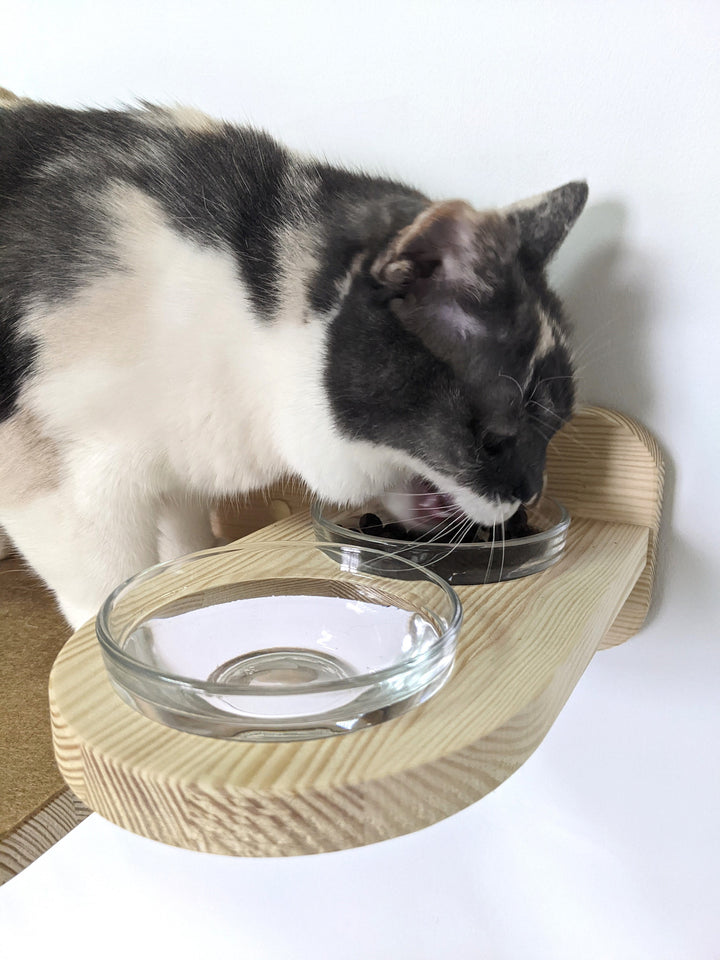 Cat Feeding Station: Raised Cat Glass Bowls with Bridge, Perfect Raised Cat Feeder protecting food and cat from dogs and other animals