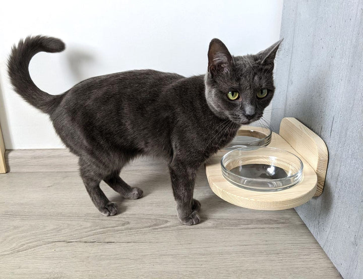 Wall mounted Double Feeder for Cats with 2 Big Bowls, small and medium dogs, Robot Vacuum Friendly, Spacey Cat Feeding Station, Dog Proof