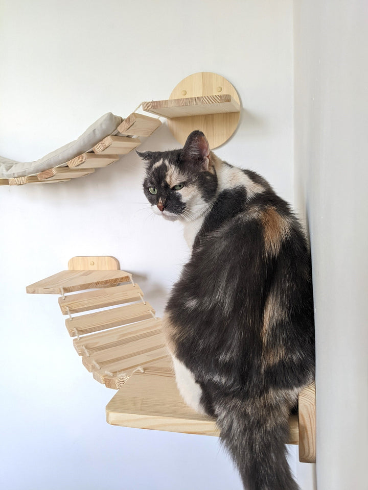 Corner Cat Bridge from Pine Wood, Cat wall shelves, Cat furniture, Cat bridge for wall, Cat tree wall, Cat furniture wall, Cat wall bed