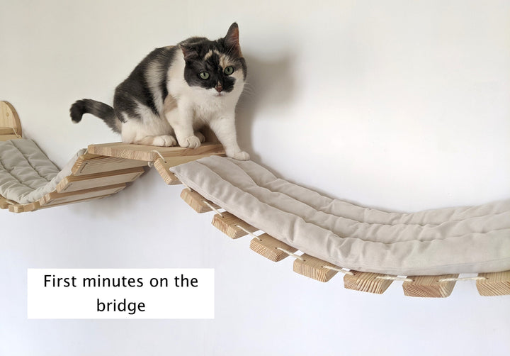 Double Cat Bridge from PineWood, L Sized with or without pillow, Modern cat furniture shelves for all types of walls, Cat wall furniture