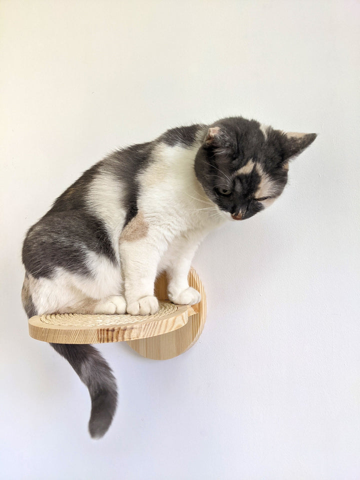 Beautiful Cat Steps for walls with sisal rope, Modern Cat Shelves for wall from Ukraine, 5 color for wood, Cat furniture 2023