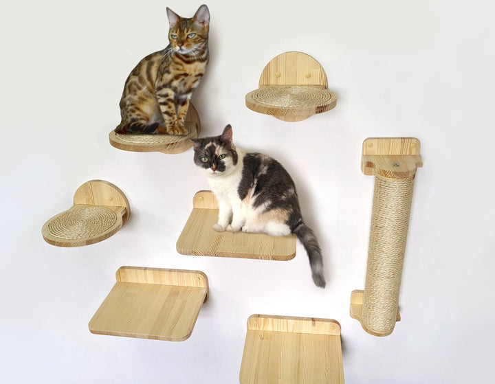 Cat Wall Shelves Set with 3 Shelves 3 Round sisal Steps and Scratching post, Cool Furniture Set for Cats for Indoor and Outdoor use