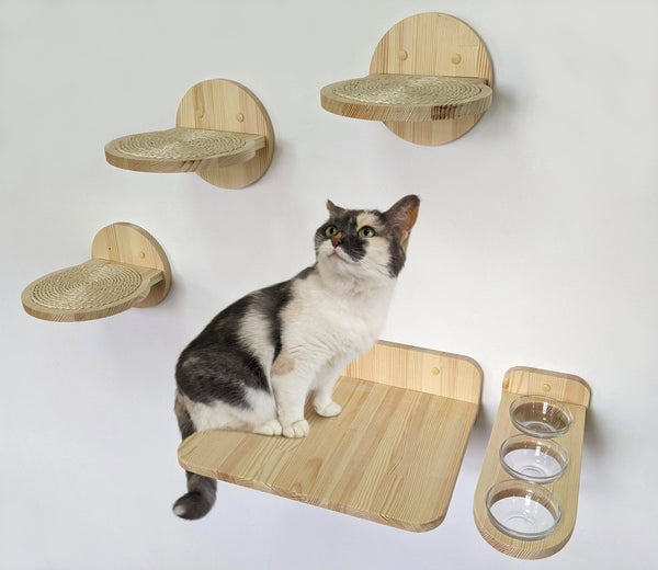 Set perfectly fitting 1 cat any size: 3 L Steps with sisal, Big sized shelf, Feeding shelf 3 bowls, Cat furniture for any type of walls