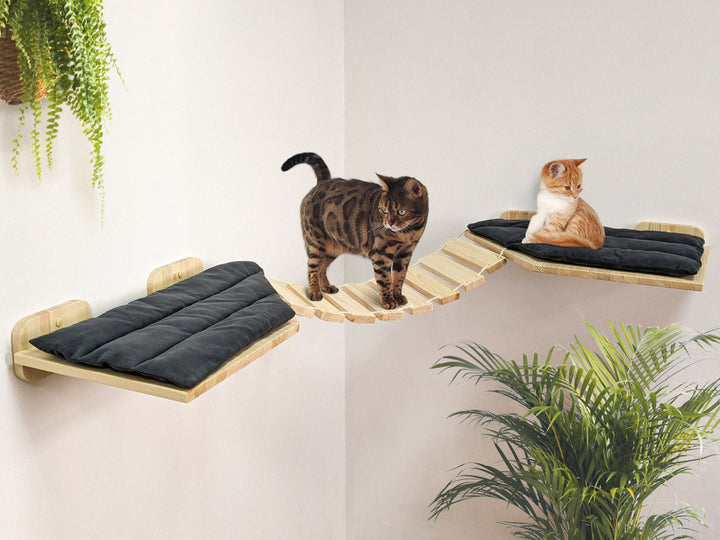 Corner Bridge-Shelf for Big Cats, Perfect for Playing and Sleeping on it, Handmade Cat Wall Shelf, Indoors and Outdoors, all types of walls!