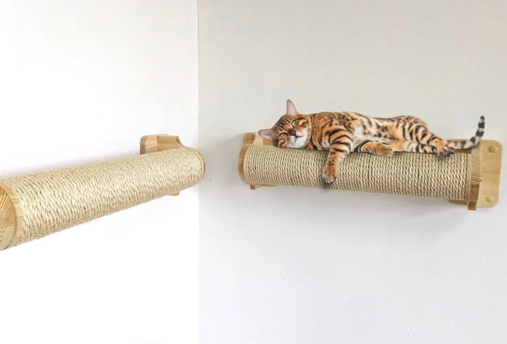 Set of Cat Furniture for Walls (Any Type), Bridge with pillow, Modern Cat Half Moon Shelf, 8 Sisal Round Steps, Cat Scratcher with Sisal