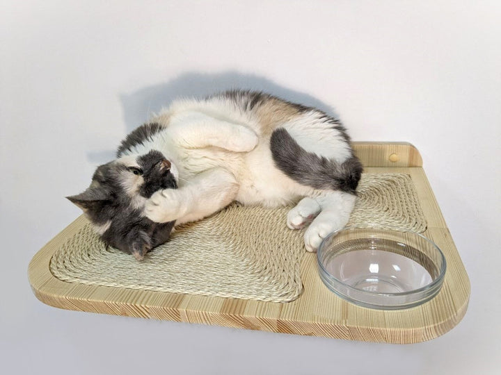 Wall Mounted Cat Bed with Built-In Glass Bowl, Cat wall shelves for any breed and any type of wall, Easy Mounting Cat Furniture