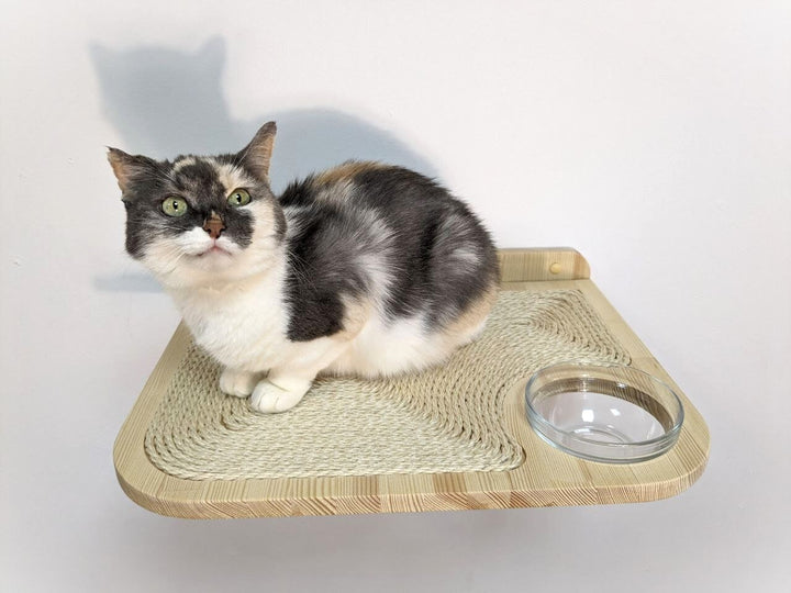 Wall Mounted Cat Bed with Built-In Glass Bowl, Cat wall shelves for any breed and any type of wall, Easy Mounting Cat Furniture